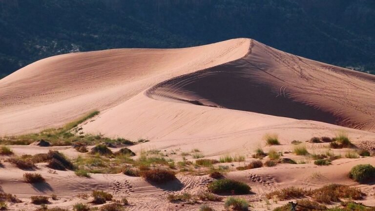 Fiel no Deserto