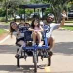 Verão: luz solar renova o corpo e ajusta o relógio biológico