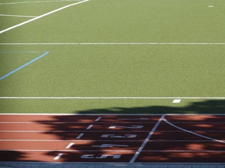 A Importância de Concluir