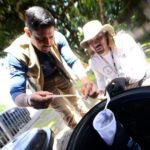 Chikungunya: rede pública do DF oferece diagnóstico e alerta sobre sintomas