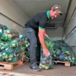 Veja as regras para receber a Cesta Verde no DF