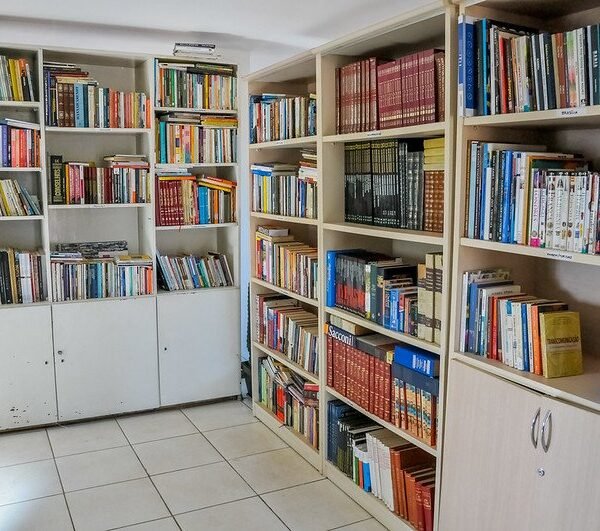 Veja como encontrar bibliotecas públicas no Distrito Federal