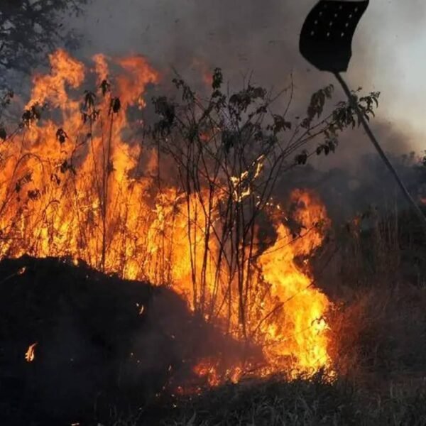 Mais de 500 municípios têm risco alto de fogo previsto&hellip;