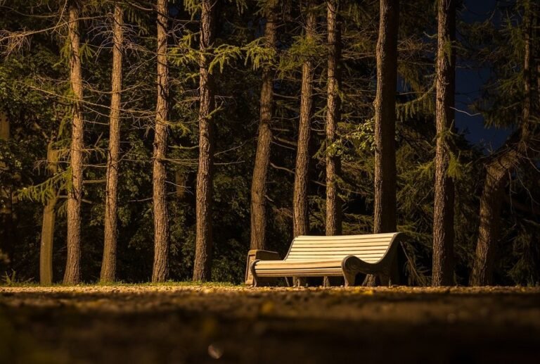 Você pode estar sozinho sem ser solitário